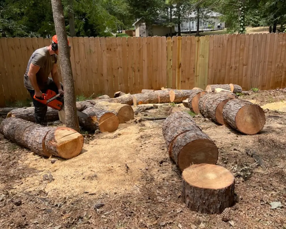 Tree Removal Clearing
